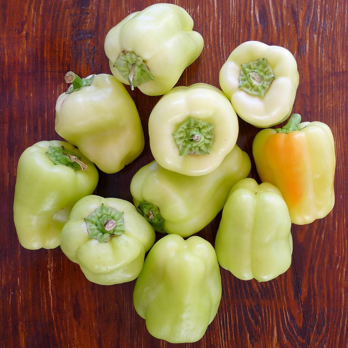 Ivory White Capsicum/Bell Pepper