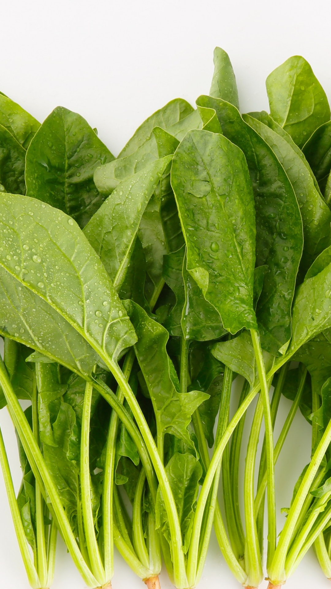 Baby Spinach