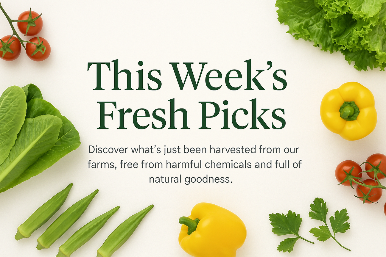 This Week’s Fresh Picks