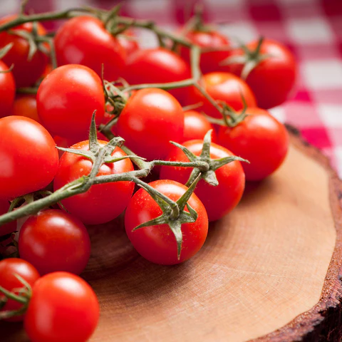 Hydroponic Red Round Cherry Tomatoes